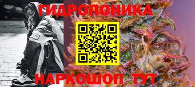 крисы Свободный