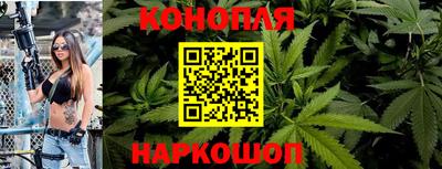 крисы Свободный