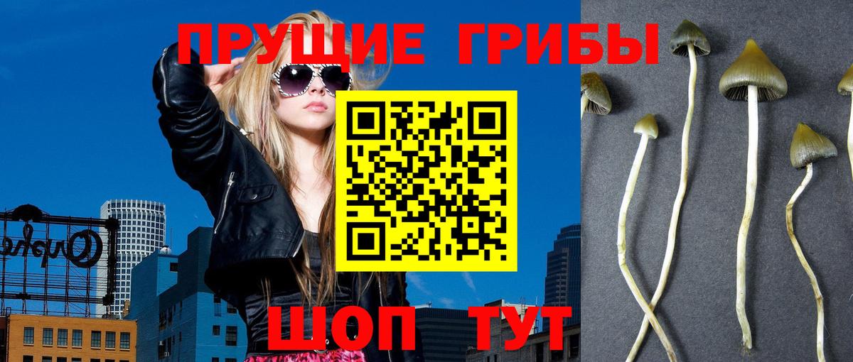 Псилоцибиновые грибы прущие грибы  Галлюциногенные грибы мухоморы  Вход с VPN  купить   Радужный 