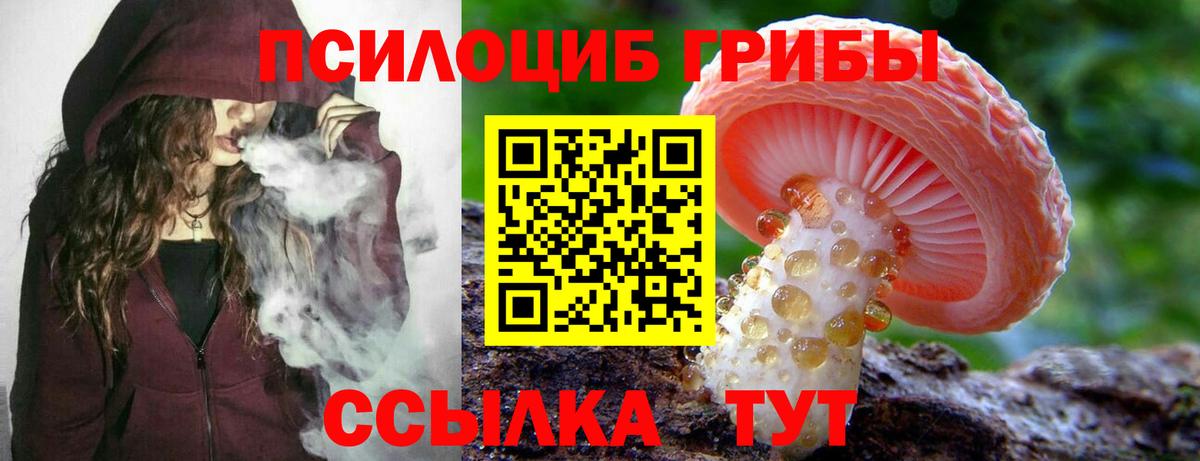 Галлюциногенные грибы прущие грибы Радужный